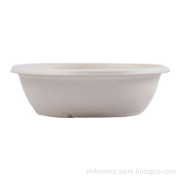 Eco Friendly Disposable & Biodegradable Food Tray